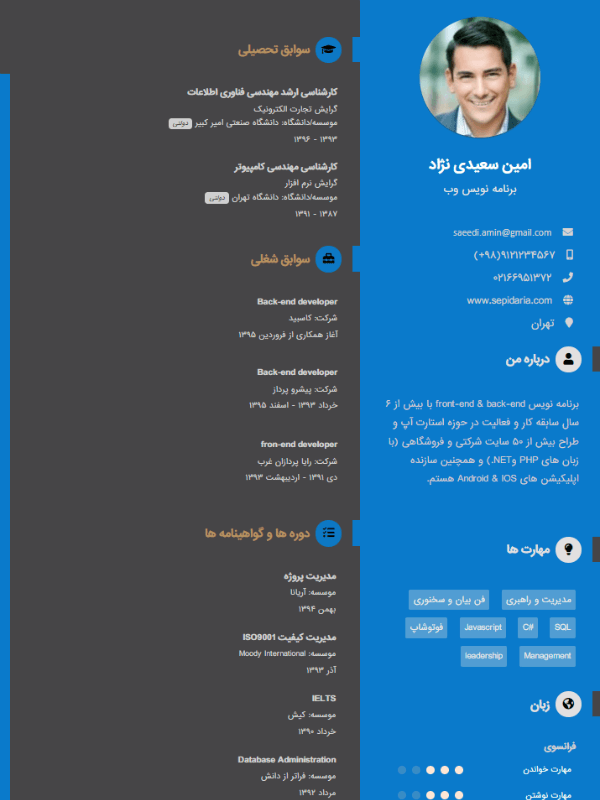 نمونه رزومه قالب آژور