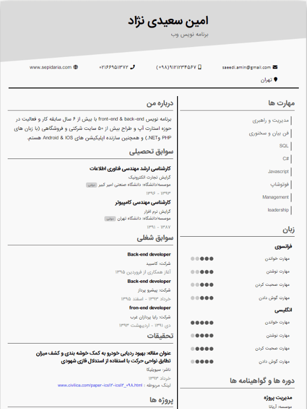 نمونه رزومه قالب رسمی