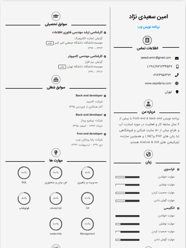 نمونه رزومه قالب حرفه ای