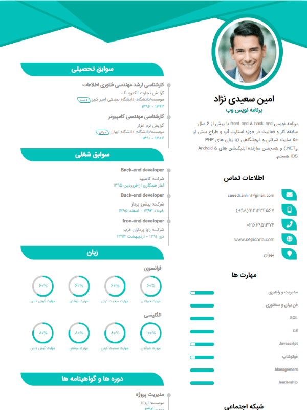 نمونه رزومه قالب هیبرید 