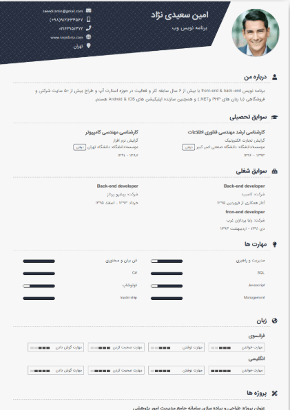 نمونه رزومه قالب اکسپرت