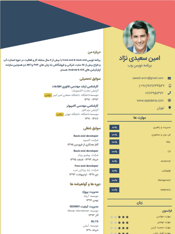 نمونه رزومه قالب مدرن