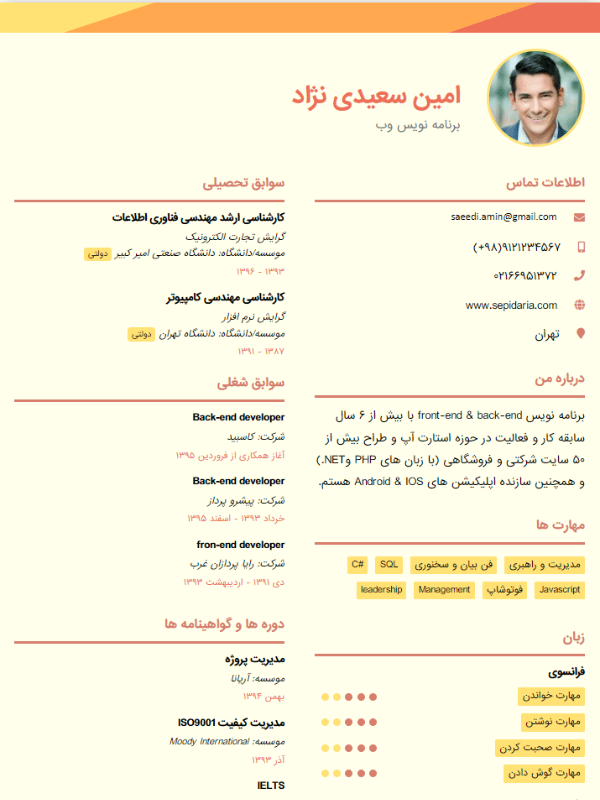 نمونه رزومه قالب ستاره